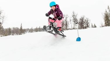 Санки STIGA Snowracer Curve SX з BMX-рулем, сталевою рамою, гальмом і тросом, керовані, для дітей від 7 років і дорослих, до 90 кг, чорні