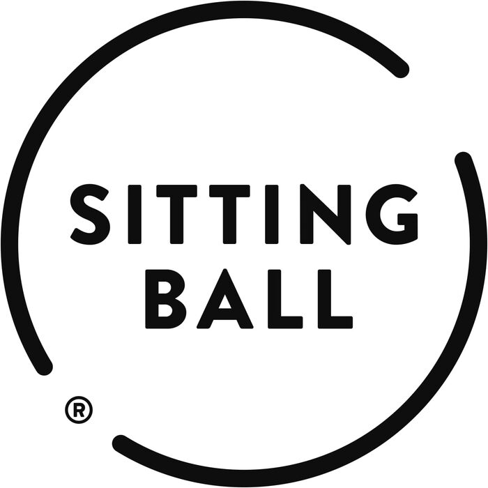 Гімнастичний м'яч SITTING POINT Shara сірий, тканинний чохол, для фітнесу та сидіння