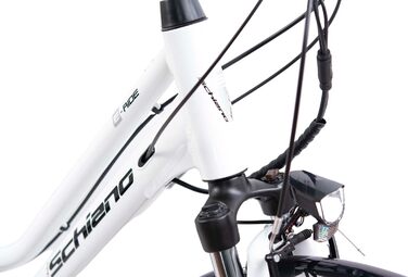 Електровелосипед F.lli Schiano E-Ride 28
