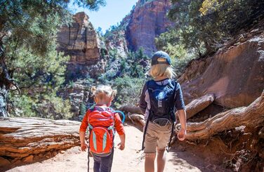 Гідратор CAMELBAK Mini M.U.L.E. дитячий, резервуар для води, туристичний рюкзак