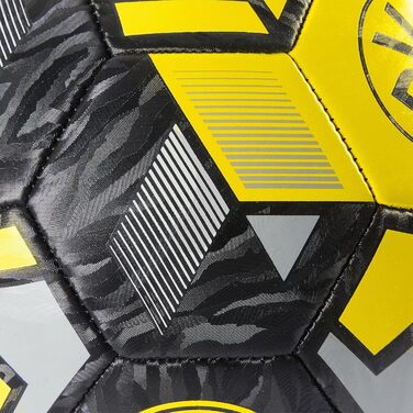 Футбольний м'яч Borussia Dortmund BVB Dynamic розмір 5