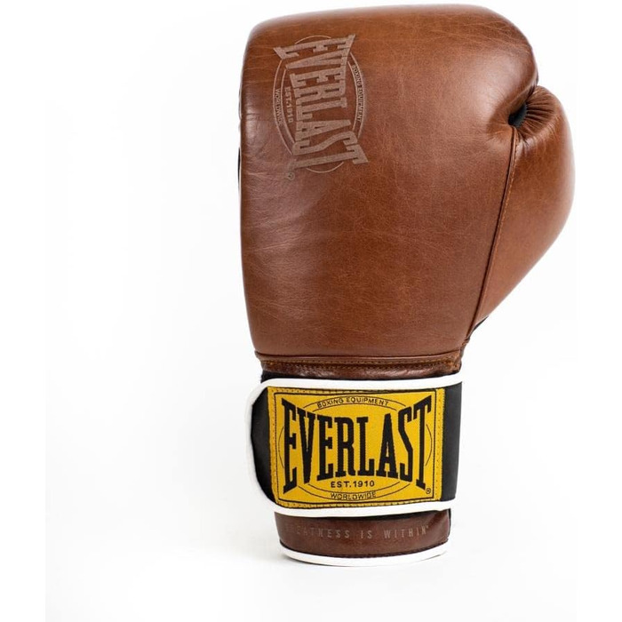 Боксерські рукавички Everlast 1910 Classic, унісекс, 14oz, коричневі, для тренувань