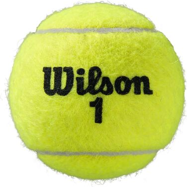 Тенісний м'яч Wilson Roland Garros 4 шт. (жовтий)