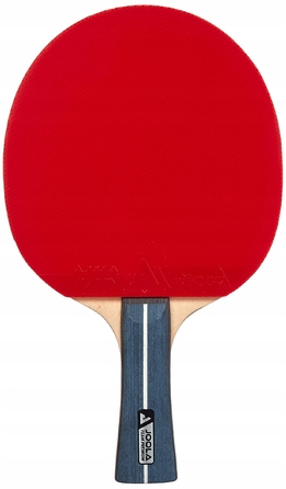 Ракетка для настільного тенісу Joola TEAM