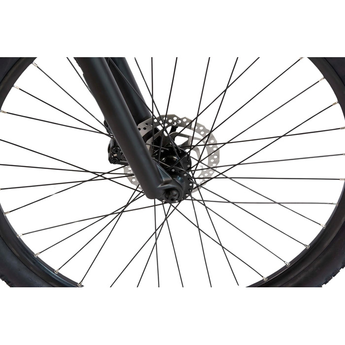 Електровелосипед F.lli Schiano Braver 27.5'' MTB, 36В 11.6Аг, 250Вт, знімний акумулятор, для чоловіків та жінок, сірий
