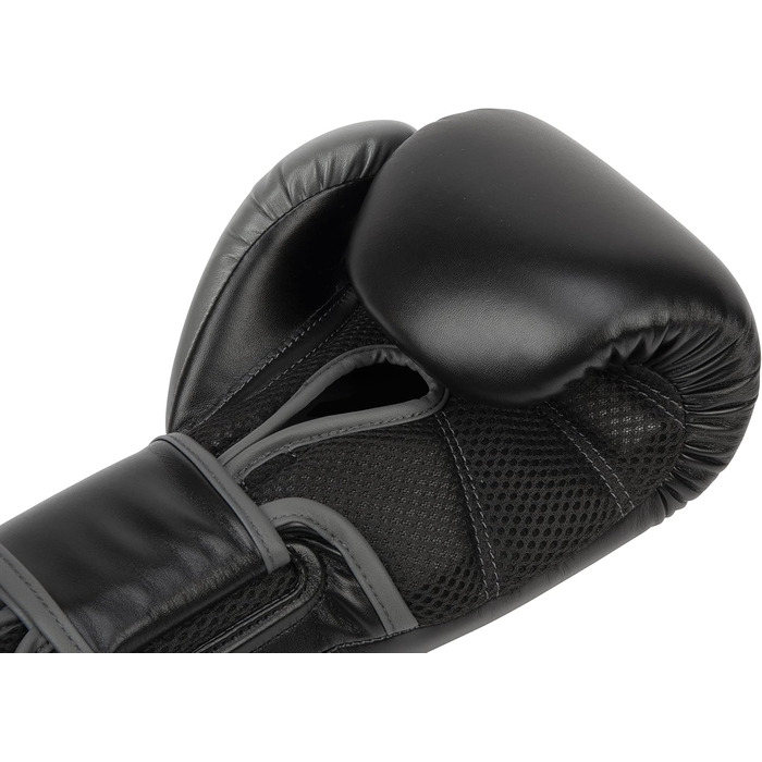 Боксерські рукавички Everlast Powerlock 2R 16oz чорні, універсальні для дорослих