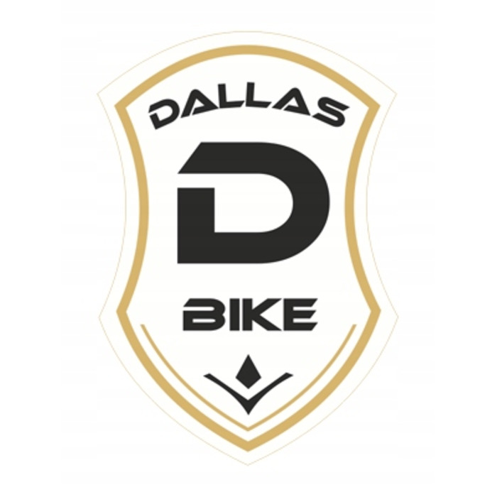 Міський чоловічий велосипед Dallas Bike, рама 21