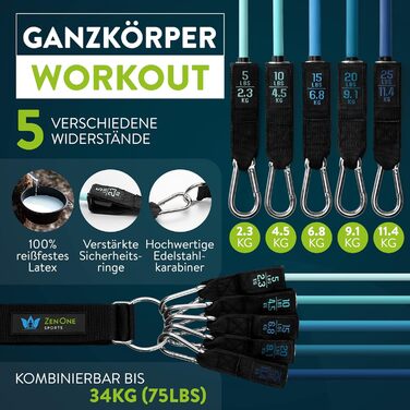 Набір еластичних стрічок для фітнесу ZenOne Sports® - 5 рівнів опору | Стрічки для силових тренувань вдома та в подорожах | Стрічки для фітнесу, гумові стрічки, спортивні стрічки (блакитний)