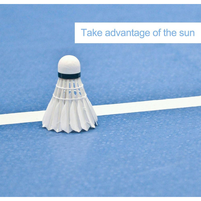 Badminton-Bälle SHENGJIE Erko, 12 шт. з гусячого пір'я, висока стабільність та довговічність, модель 6