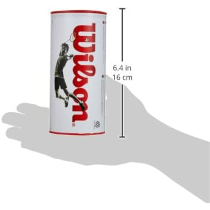 Набір метеликів для бадмінтону Wilson Championship, 6 шт. (77 Grains, середня швидкість)