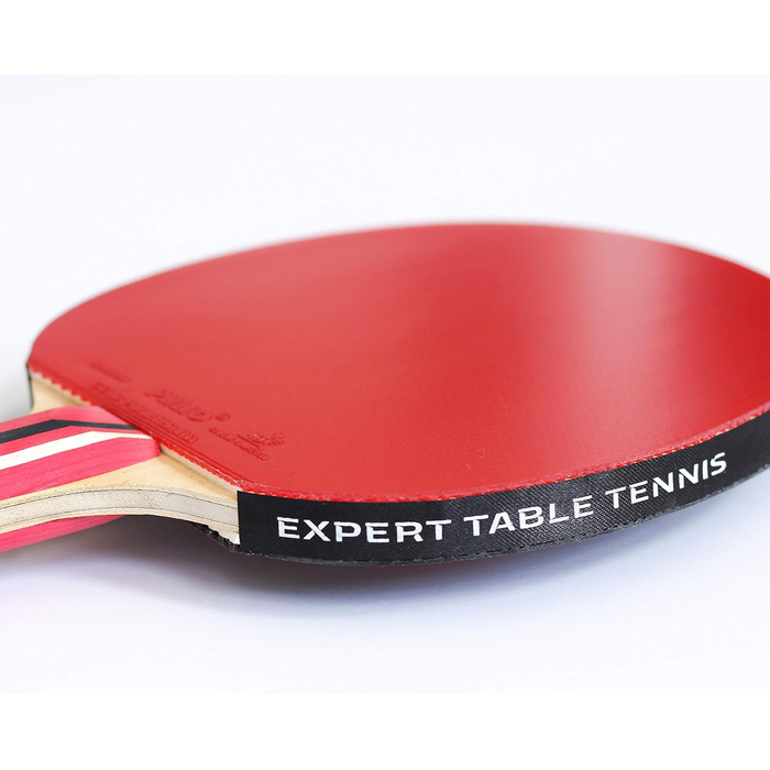 Ракетка для настільного тенісу Palio Master 3.0 з кейсом | ITTF, для просунутих гравців | Універсальна швидкість, обертання та контроль