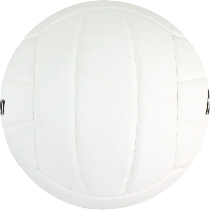 Волейбольний м'яч Baden Lexum Composite Carolina синій/чорний/білий (білий)