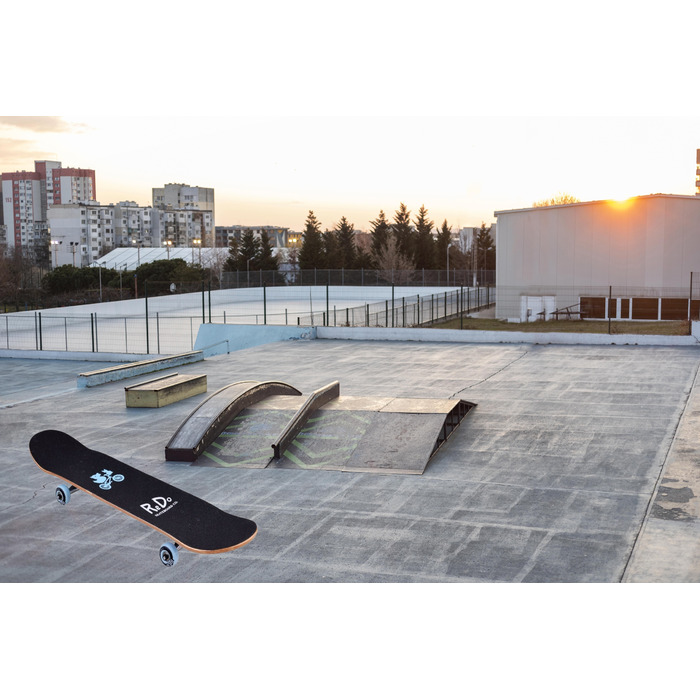 Дерев'яний скейтборд ReDo Gallery Pop, навантаження до 100 кг, SP0743