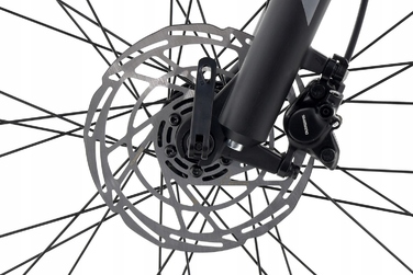 Гірський велосипед Lazaro 29 RX, рама 19