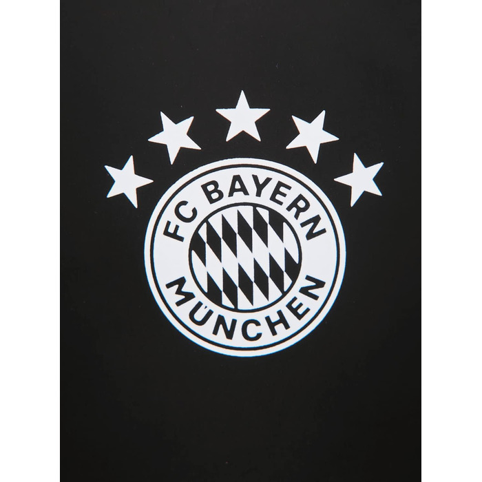 Пляшка для води FC Bayern München, алюмінієва, чорна, 0,6 л