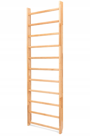 Тренажерна драбинка Pelltech, 220 см x 80 см
