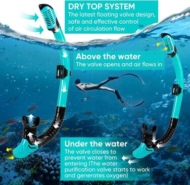 Набір для снорклінгу дорослих, сухий, з маскою та трубочкою, антизапітніння, 180° панорама, для жінок та чоловіків, плавання, відпочинок на пляжі