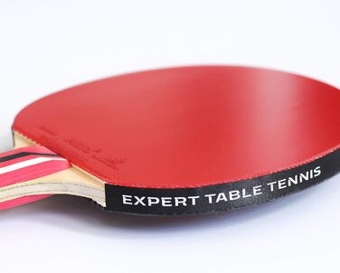 Ракетка для настільного тенісу Palio Master 3.0 з кейсом | ITTF, для просунутих гравців | Універсальна швидкість, обертання та контроль