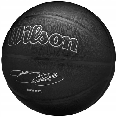 Баскетбольний м'яч Wilson NBA Player Evergreen Lebron WZ4026801XB роз. 7