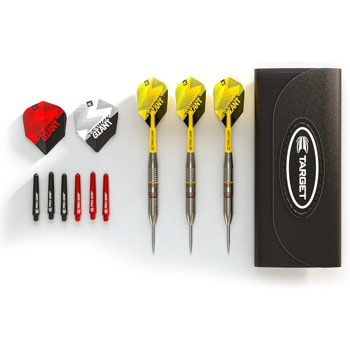 Дротики Target Darts Gabriel Clemens 22 г латунні, стілдарти, набір із аксесуарами, сріблясто-жовті