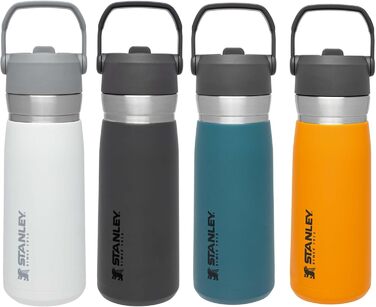 Термобутилка Stanley IceFlow 0,65 л з трубочкою, нержавіюча сталь, для холодних напоїв, герметична, BPA-free, Polar