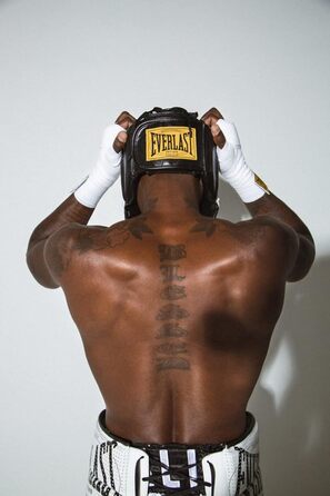 Боксерські рукавички Everlast для тренувань, шкіра, преміум якість