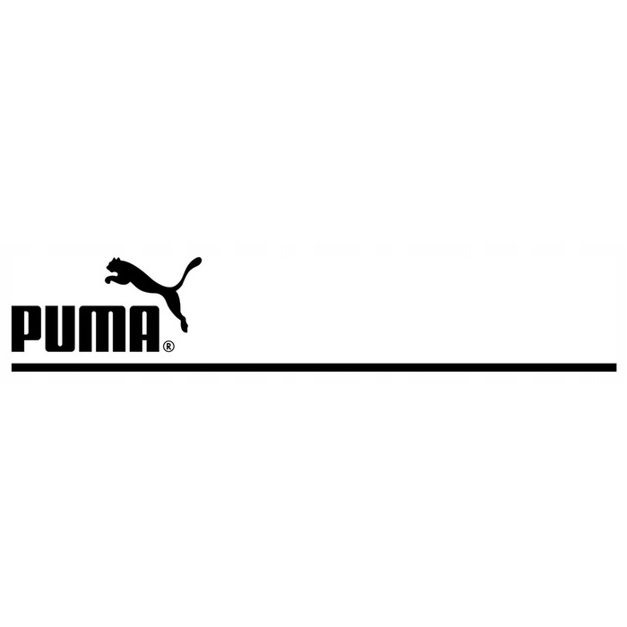 Чоловічі кеди Puma 399666, сірі, розмір 42