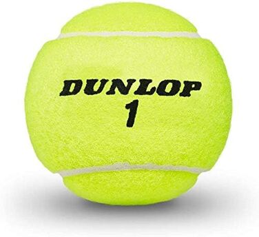 Тенісні м'ячі Dunlop ATP Championship V21, 12 шт. у банці