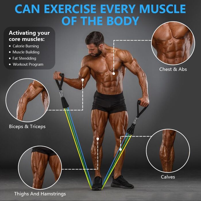 Набір еластичних стрічок Flintronic для фітнесу, силових тренувань та йоги (150 LBS, 12 шт.)