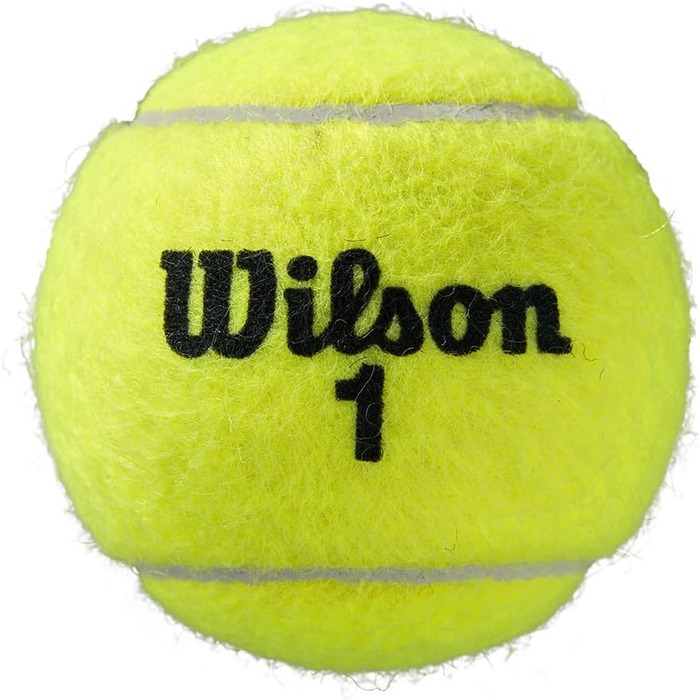 Тенісний м'яч Wilson Roland Garros 4 шт. (жовтий)