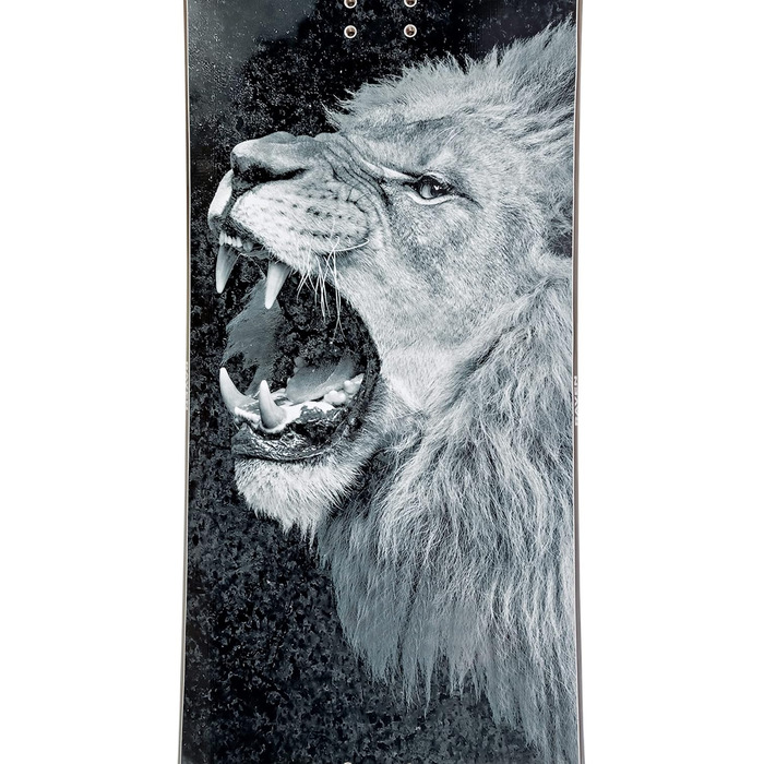 Сноуборд Raven Lion 159 см Широкий - для фрістайлу та парку