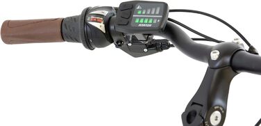 Електровелосипед F.lli Schiano E-Ride 28
