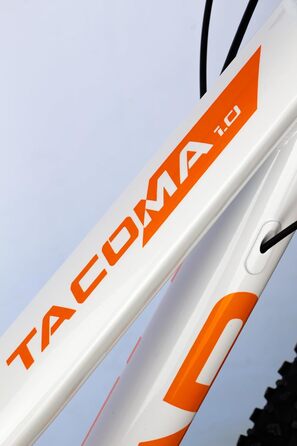 Жіночий гірський велосипед HEAD Tacoma 1.0, світло-сірий/помаранчевий, 44 см
