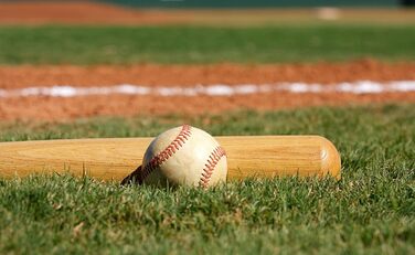 Біта бейсбольна алюмінієва 25