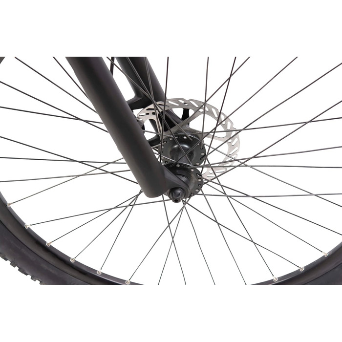 Електровелосипед F.lli Schiano E-Jupiter 27.5