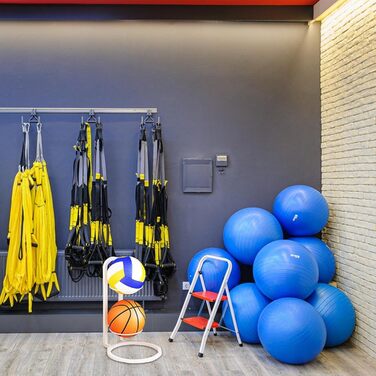 Стенд для м'ячів: баскетбол, футбол, волейбол, металевий, 2 яруси, білий