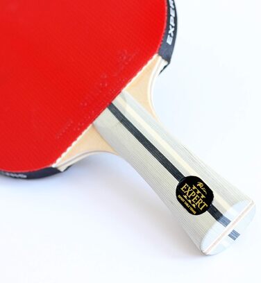 Ракетка для настільного тенісу Palio Expert 3.0 з кейсом | ITTF, професійна, для початківців | Максимальний спін та контроль