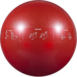 Фітбол GoFit Professional Grade, 65 см - для фітнесу та домашніх тренувань