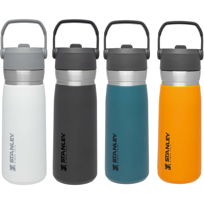 Термобутилка Stanley IceFlow 0,65 л з трубочкою, нержавіюча сталь, для холодних напоїв, герметична, BPA-free, Polar