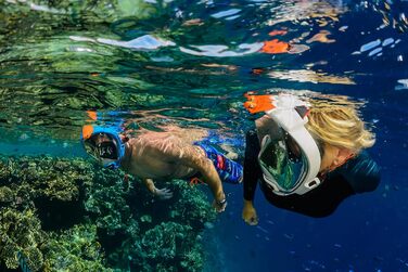 Повнолицьева маска для снорклінгу OCEAN REEF Aria QR з трубкою, біла (L/XL) - панорамний огляд 180°