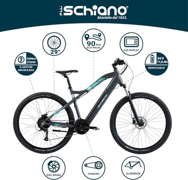 Електровелосипед F.lli Schiano E-Mercury 29