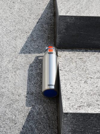 Термос-гуртка SIGG Hot & Cold One з ситечком для чаю, ізольована, не протікає, BPA-free, нержавіюча сталь 18/8, 0.3/0.5/0.55 л