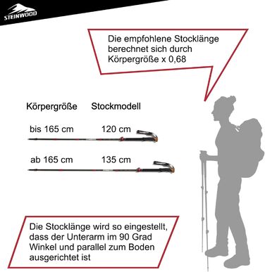 Преміум трекінгові палиці Steinwood Carbon, телескопічні, надлегкі, з клемним замком, гумовими амортизаторами та чохлом