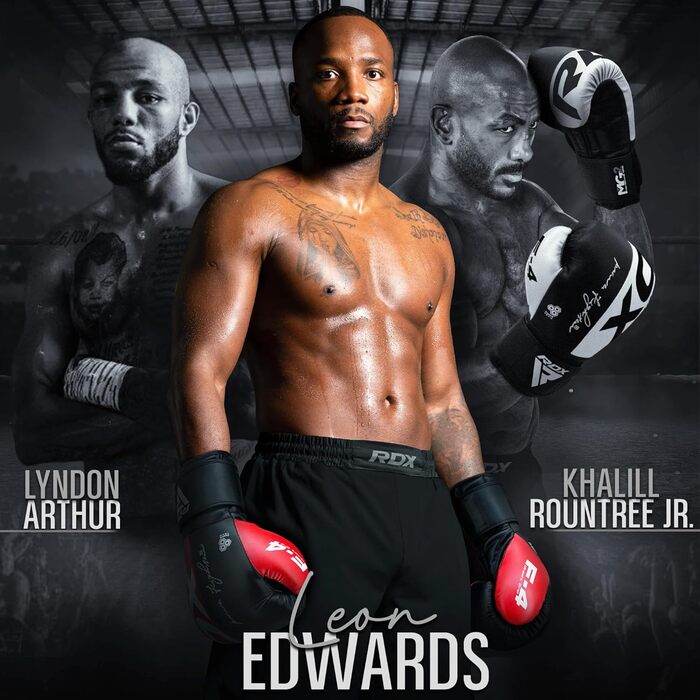 Боксерські рукавички RDX Maya Hide: шкіряні рукавички для муай-тай, кікбоксингу, спарингу, тренувань та фітнесу (8, 10, 12, 14, 16 OZ)