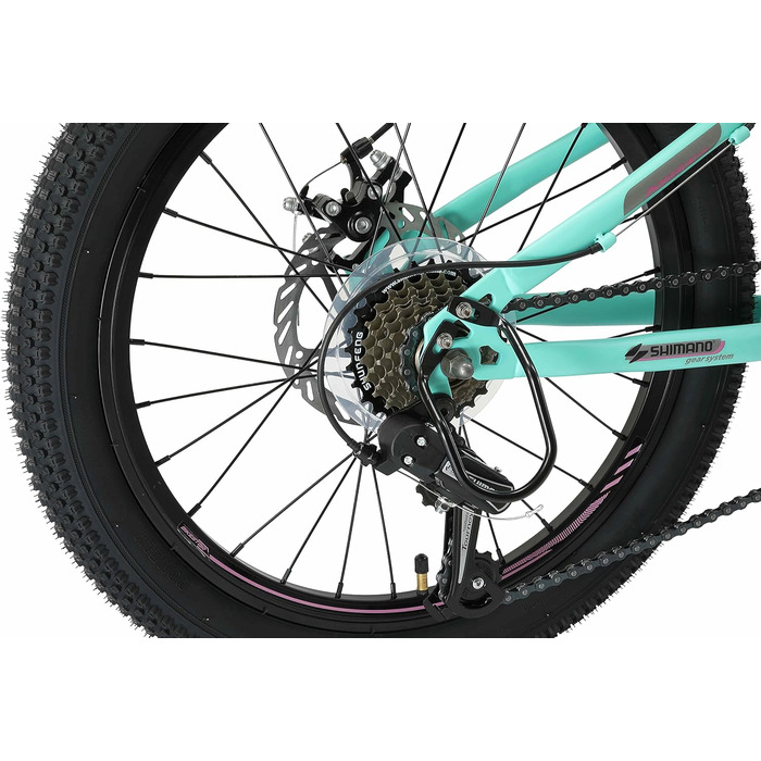 Дитячий гірський велосипед BIKESTAR 20 дюймів, 7 швидкостей Shimano, дискові гальма, для дітей від 6 років