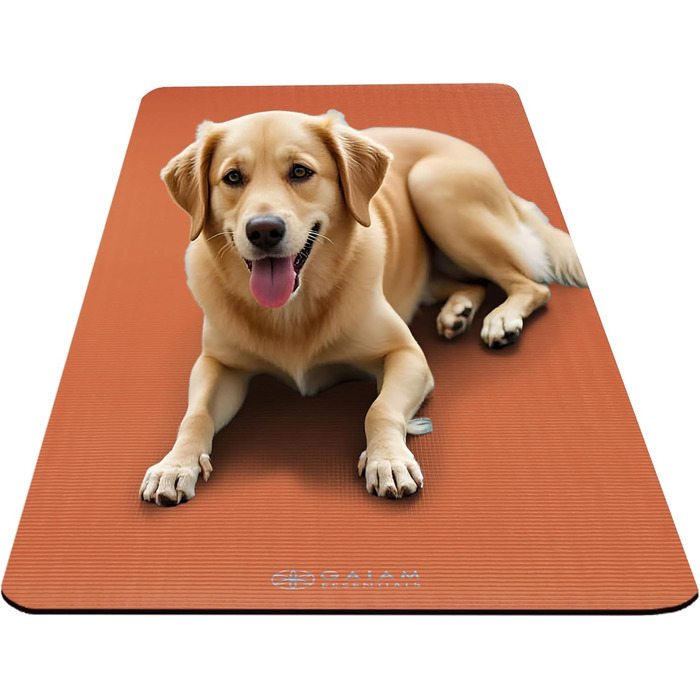 Yogamat Gaiam Essentials товстий 1 см, оранжевий, 183x61 см з ременем для перенесення - для йоги та фітнесу