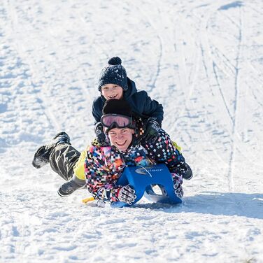 Санки RollyToys Snow Cruiser для дітей від 3 років, сині, дуже міцні, зі сталевими полозами