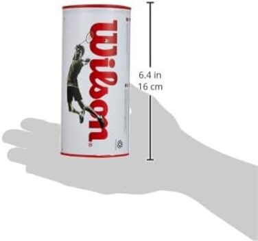 Набір метеликів для бадмінтону Wilson Championship, 6 шт. (77 Grains, середня швидкість)