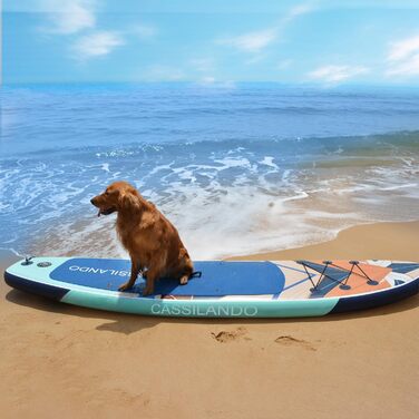 Надувний SUP дошка CASSILANDO Stand Up Paddle Board 335 см з аксесуарами та сумкою для перенесення, для йоги, риболовлі, серфінгу, підходить для дорослих та підлітків, з імітацією текстури дерева, колір м'ятно-зелений