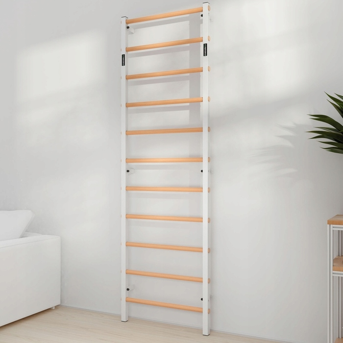 Тренувальна драбинка Endorfit, 240 см x 75 см